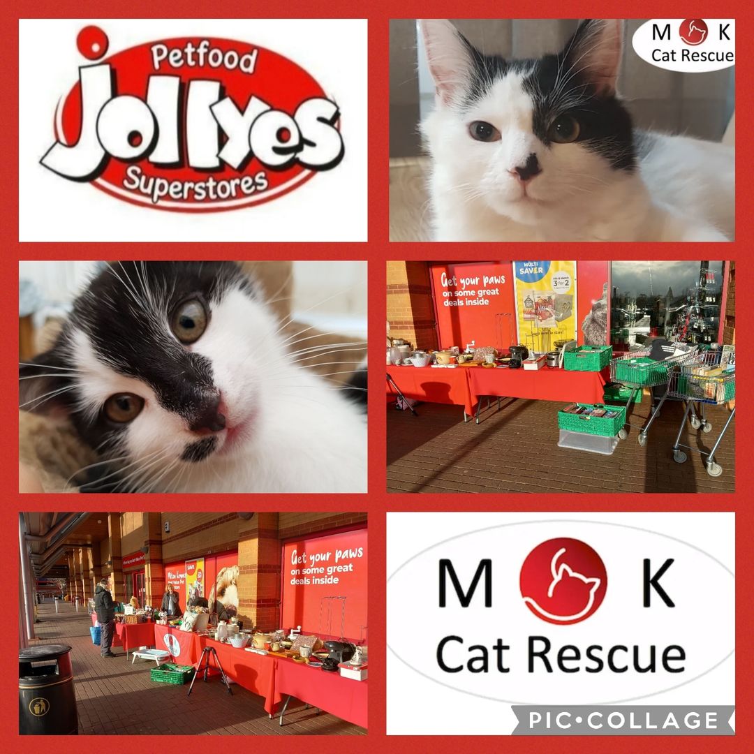 All set up at Jollyes Milton Keynes – The Pet People, Westcroft looking forward …