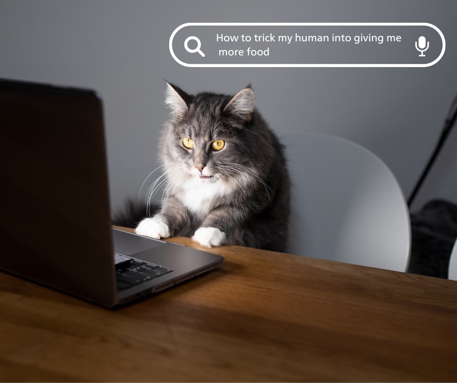 Happy On Your Feet Britain® Day!

We hope workers across Milton Keynes are enjoy…