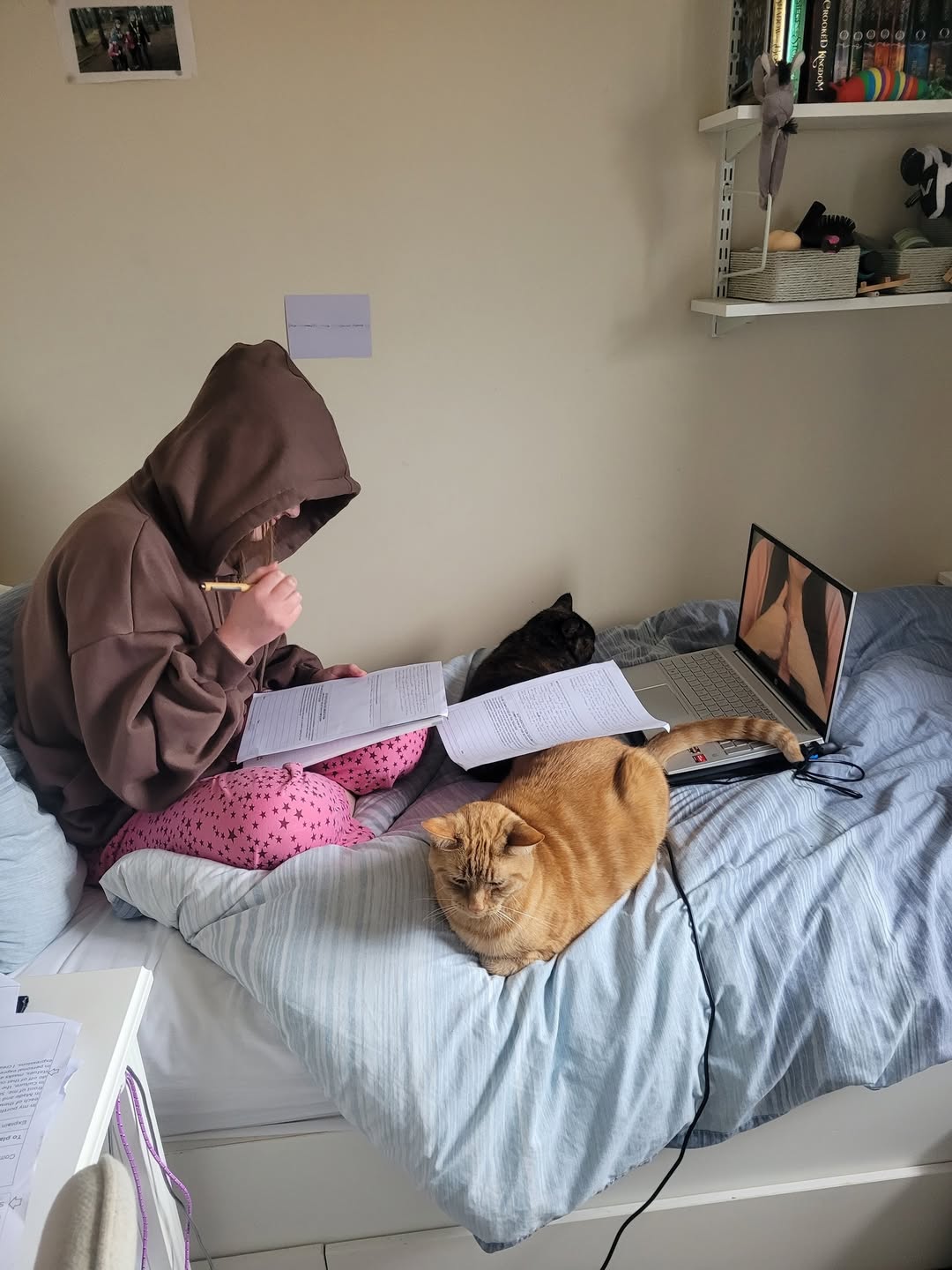 As GCSE and A Level exams are looming we thought we’d share this picture of one …