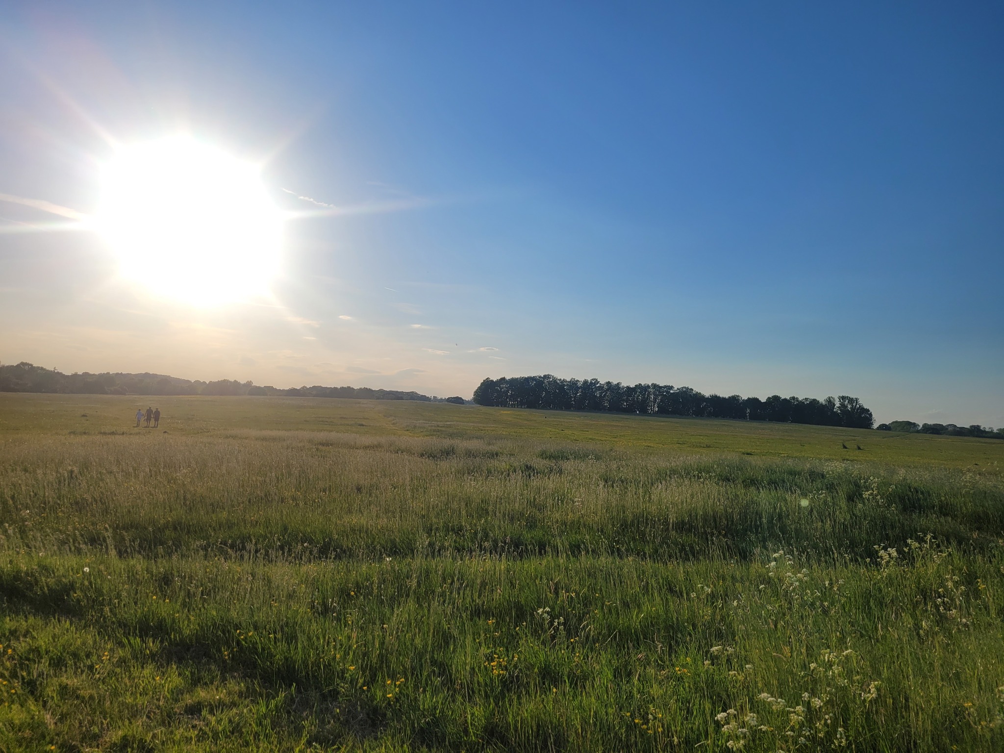 Earlier this week we went out to pick up a sadly deceased cat from the side of t…