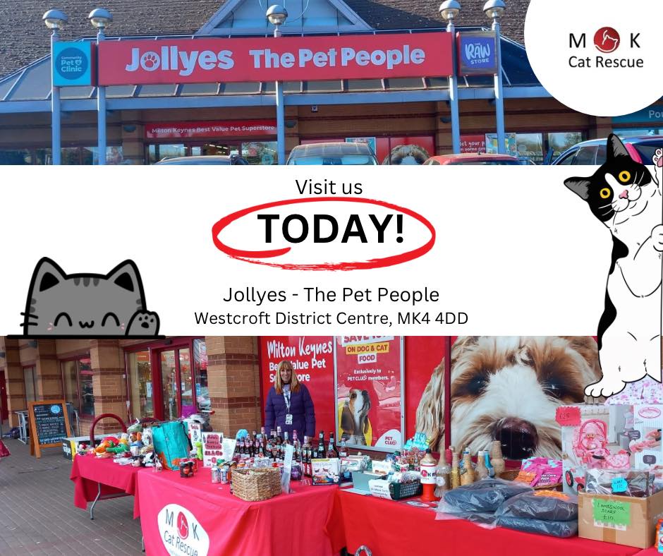 Don’t forget to come see us at Jollyes Westcroft today! Speak to our wonderful f…
