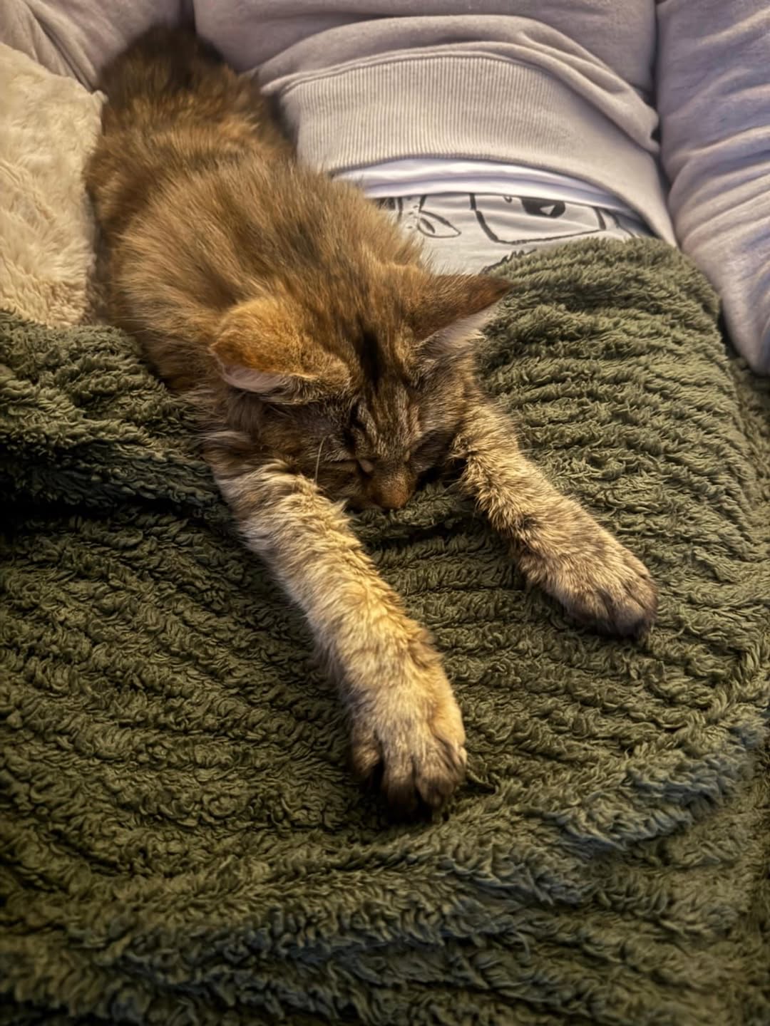 We’d like to address something which is becoming more common not only in our res…