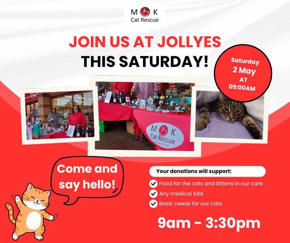 Don’t forget that we’ll be at Jollyes this Saturday raising funds for MK Cat Res…