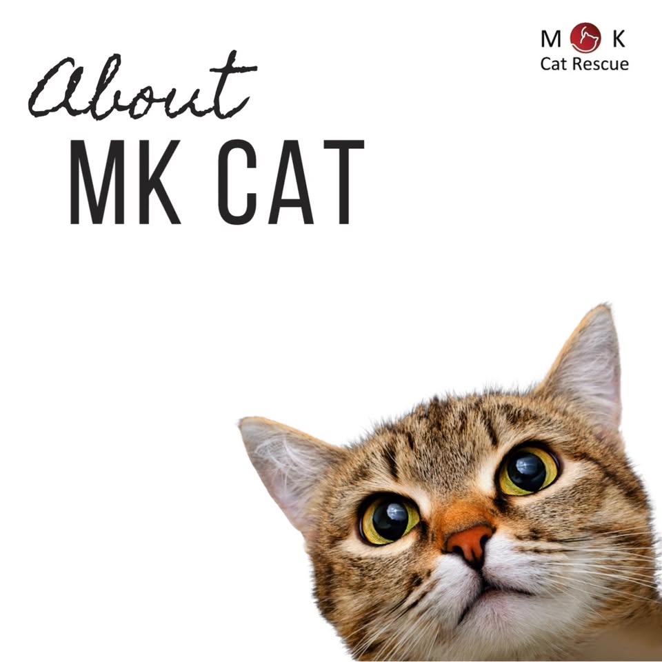 MK Cat Rescue is a charity run by passionate volunteers who give up their time t…
