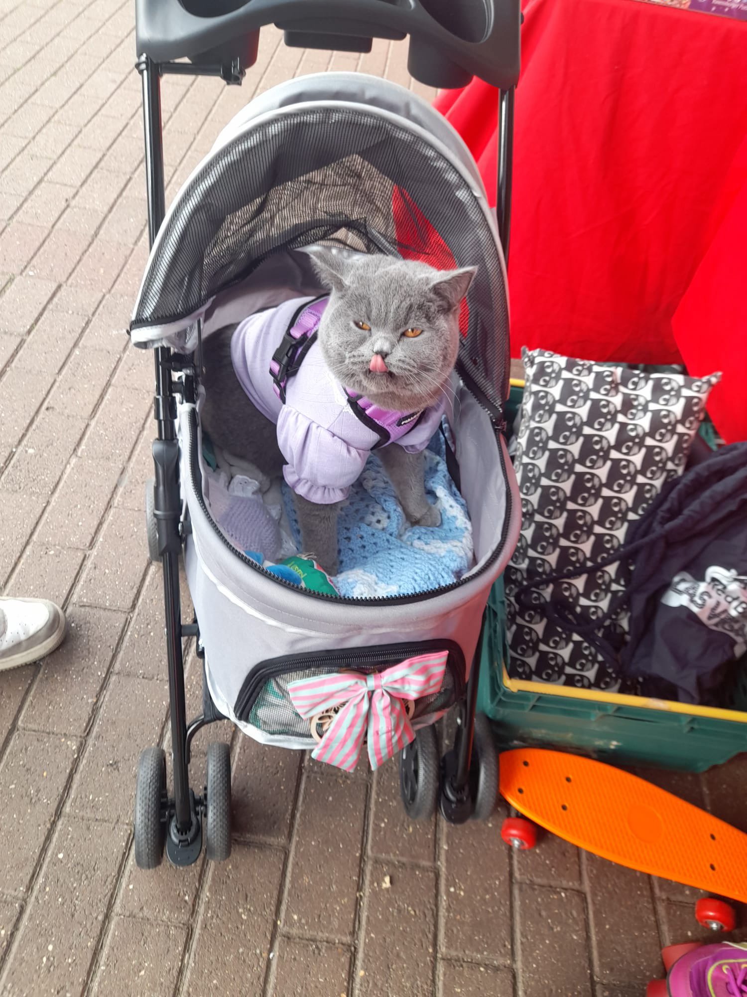 We had a fantastic day at Jollyes Milton Keynes – The Pet People yesterday and w…
