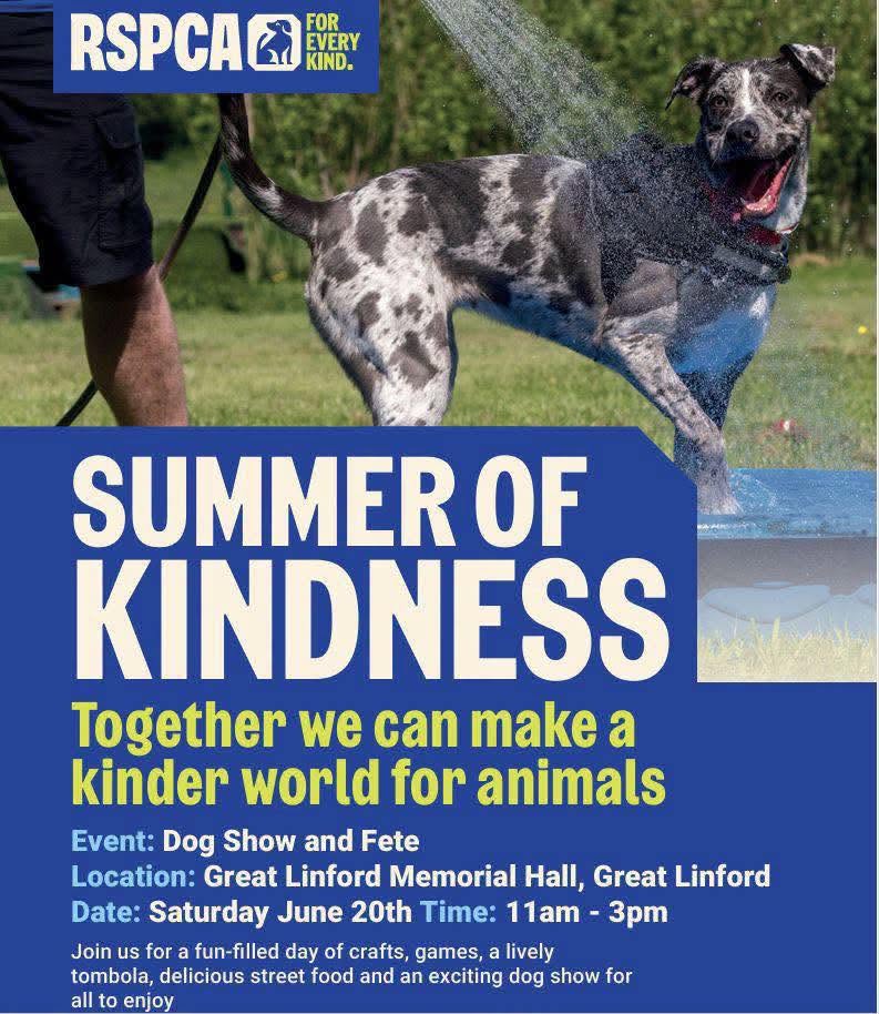 Come join us, Milton Keynes & District Cats Protection and RSPCA Milton Keynes &…