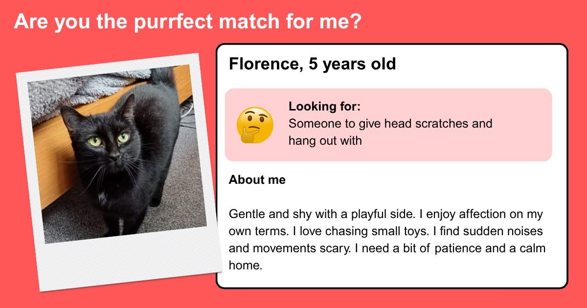 Meet Florence, our adorable five year old who is ready for adoption! Let us know…