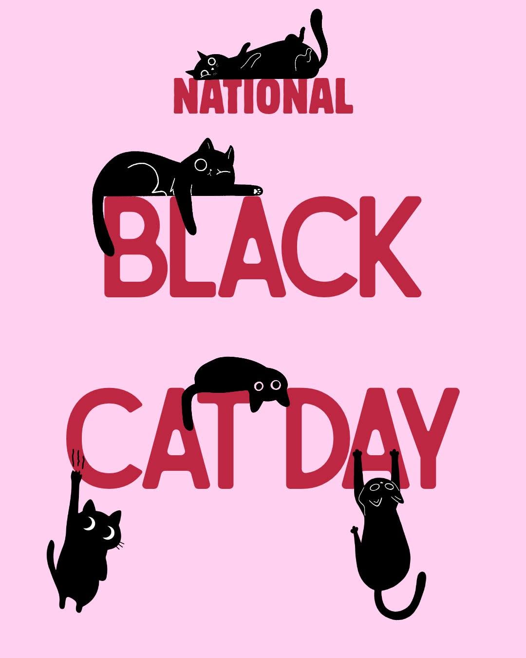 It’s National Black Cat Day!

Here’s some of our past and present panthers. Aren…