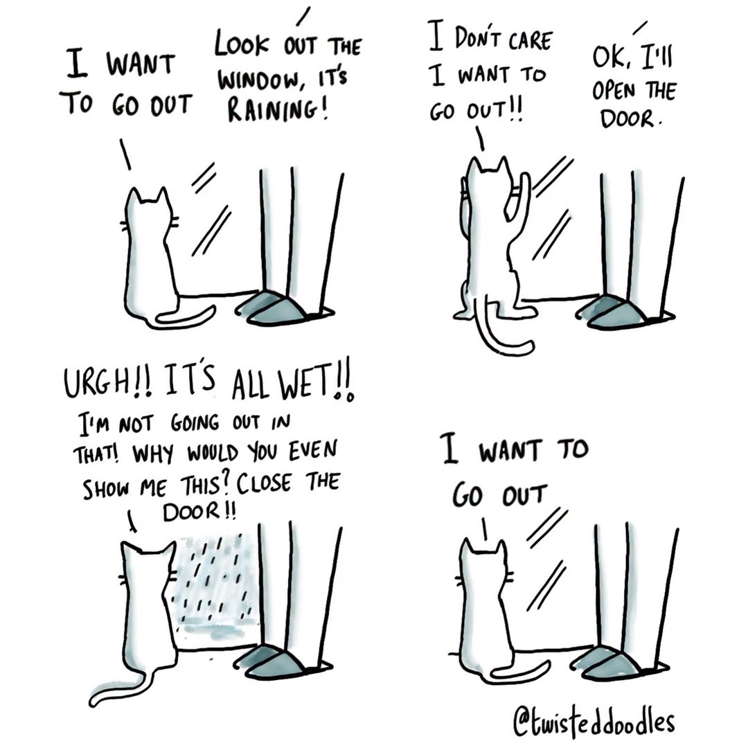 They don’t believe you. #cats #webcomic #rain #catsofinstagram